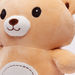 Juniors Plush Bear Soft Toy-Plush Soft Toys-thumbnail-1