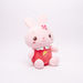 Juniors Rabbit Plush Toy-Plush Toys-thumbnail-0