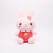 Juniors Rabbit Plush Toy-Plush Toys-thumbnail-2