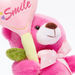 Juniors Plush Bear Toy-Plush Soft Toys-thumbnail-1