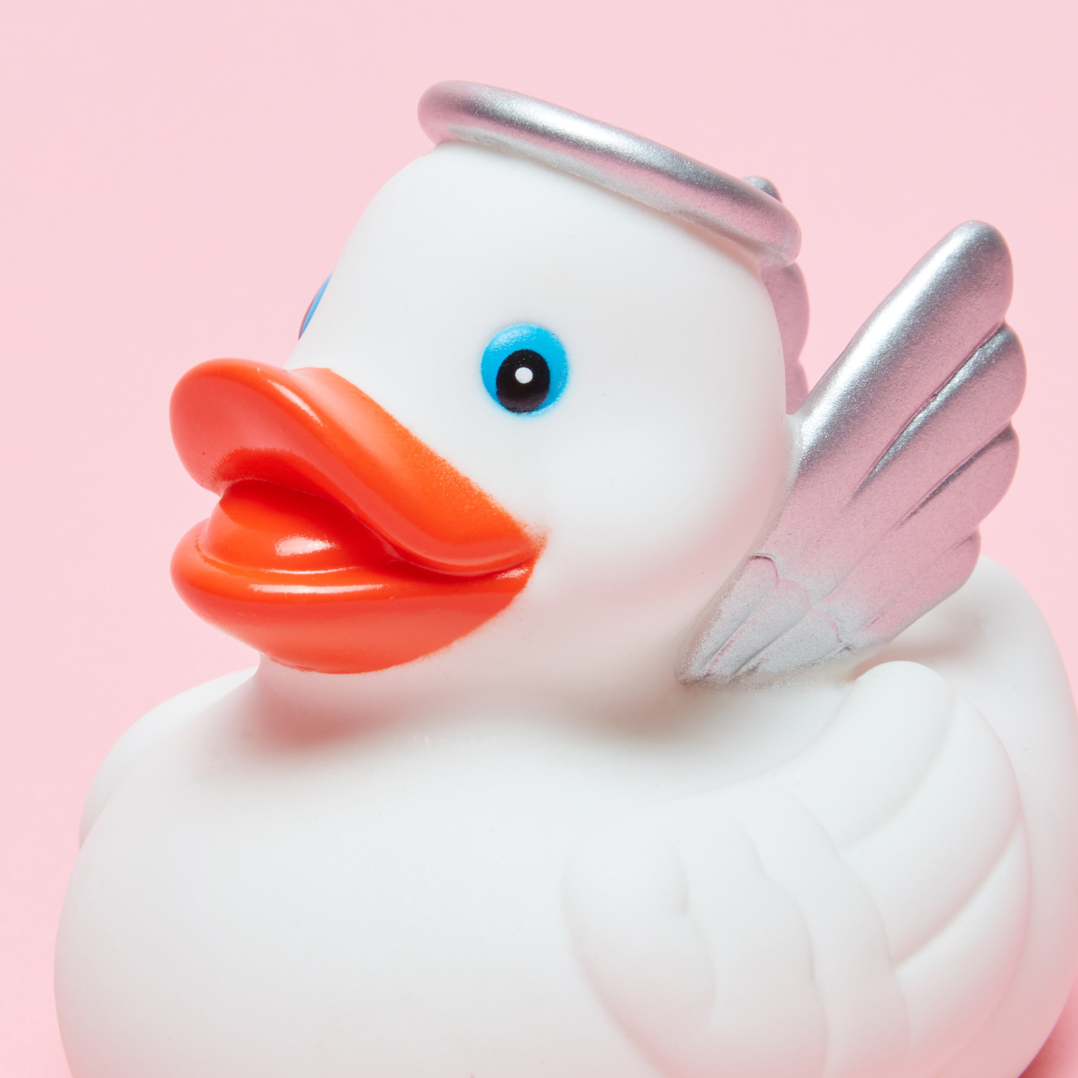 Funny duck toy shop