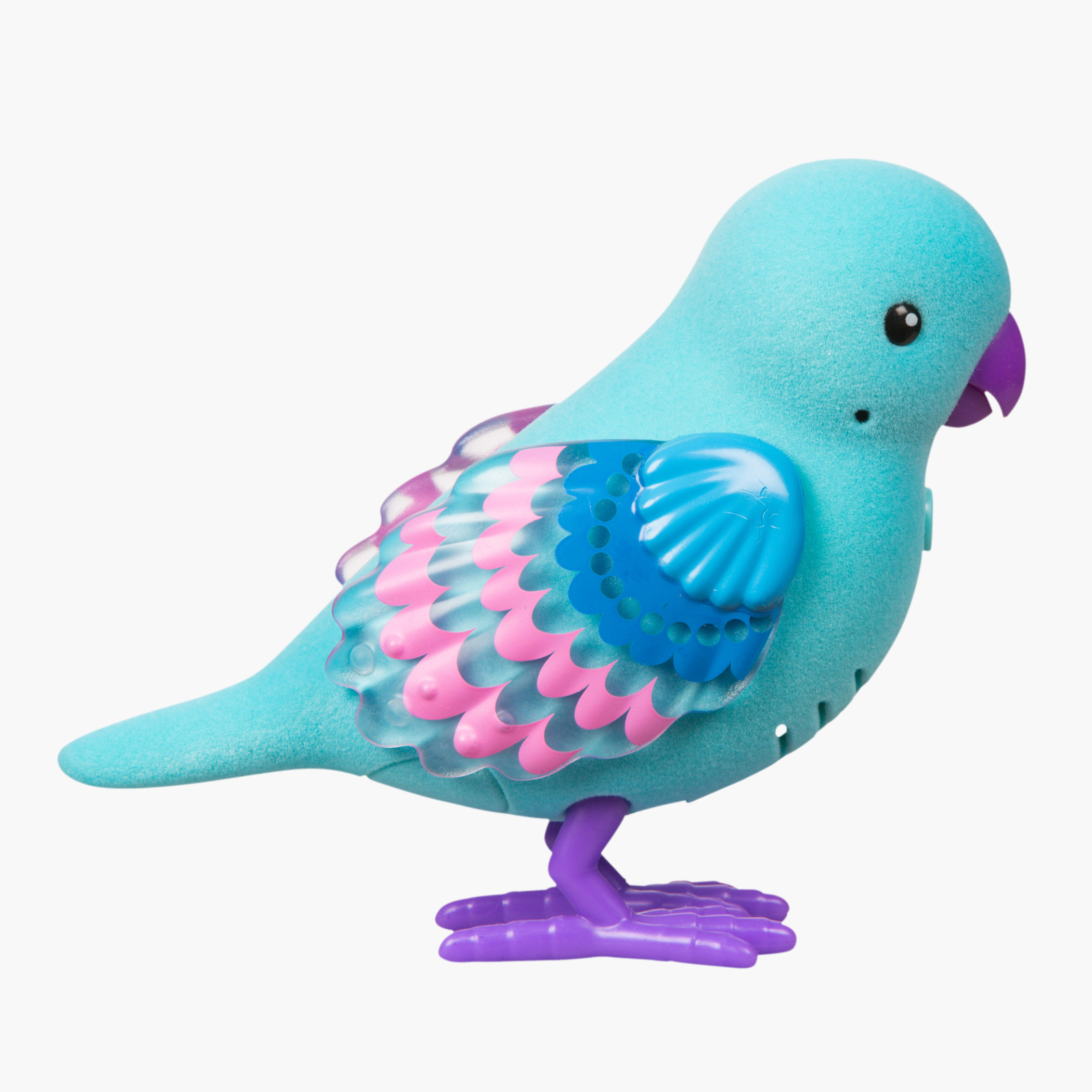 Bird toy sale shop near me