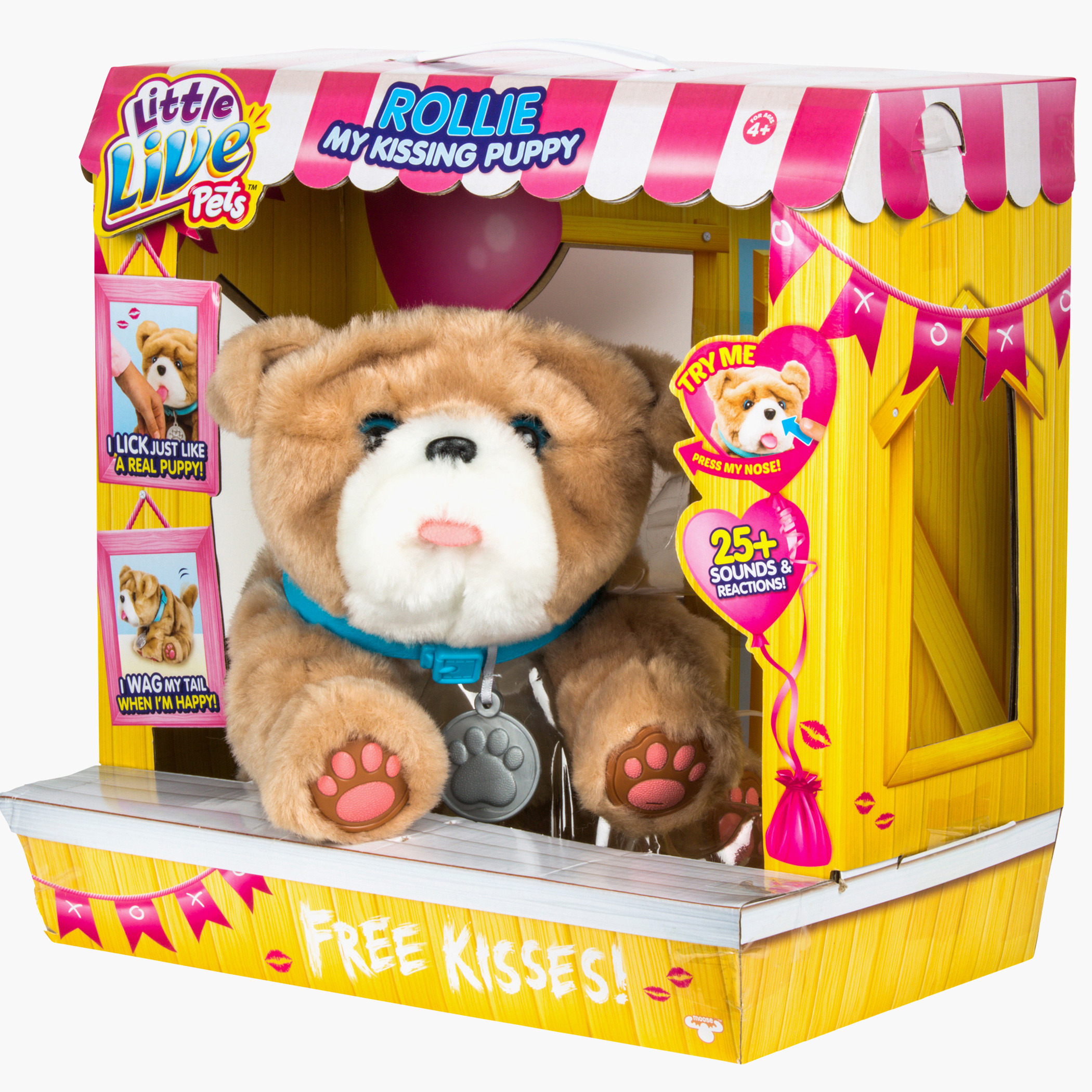 Rollie the dog hot sale little live pets