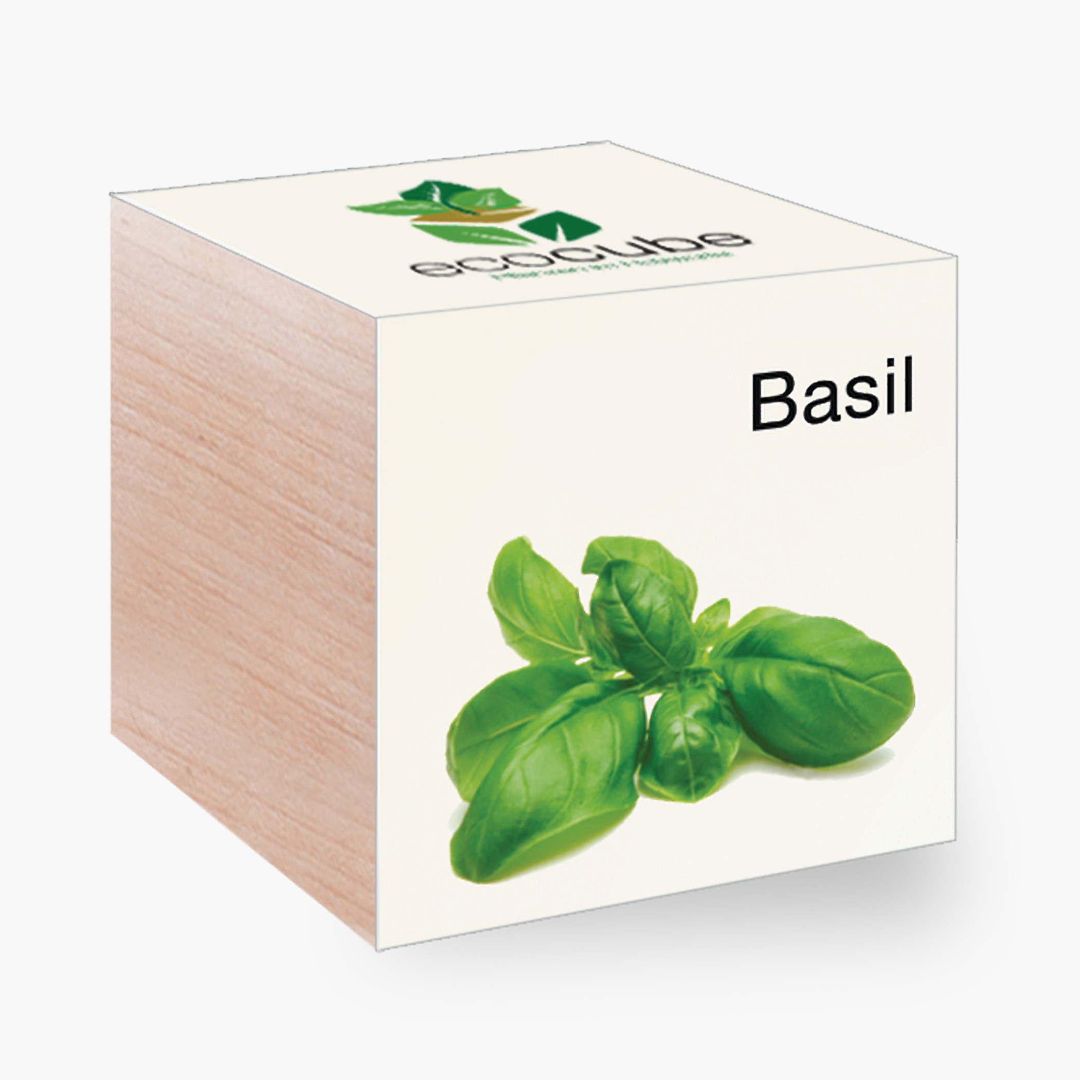 Feel Green Ecocube Basil Plant