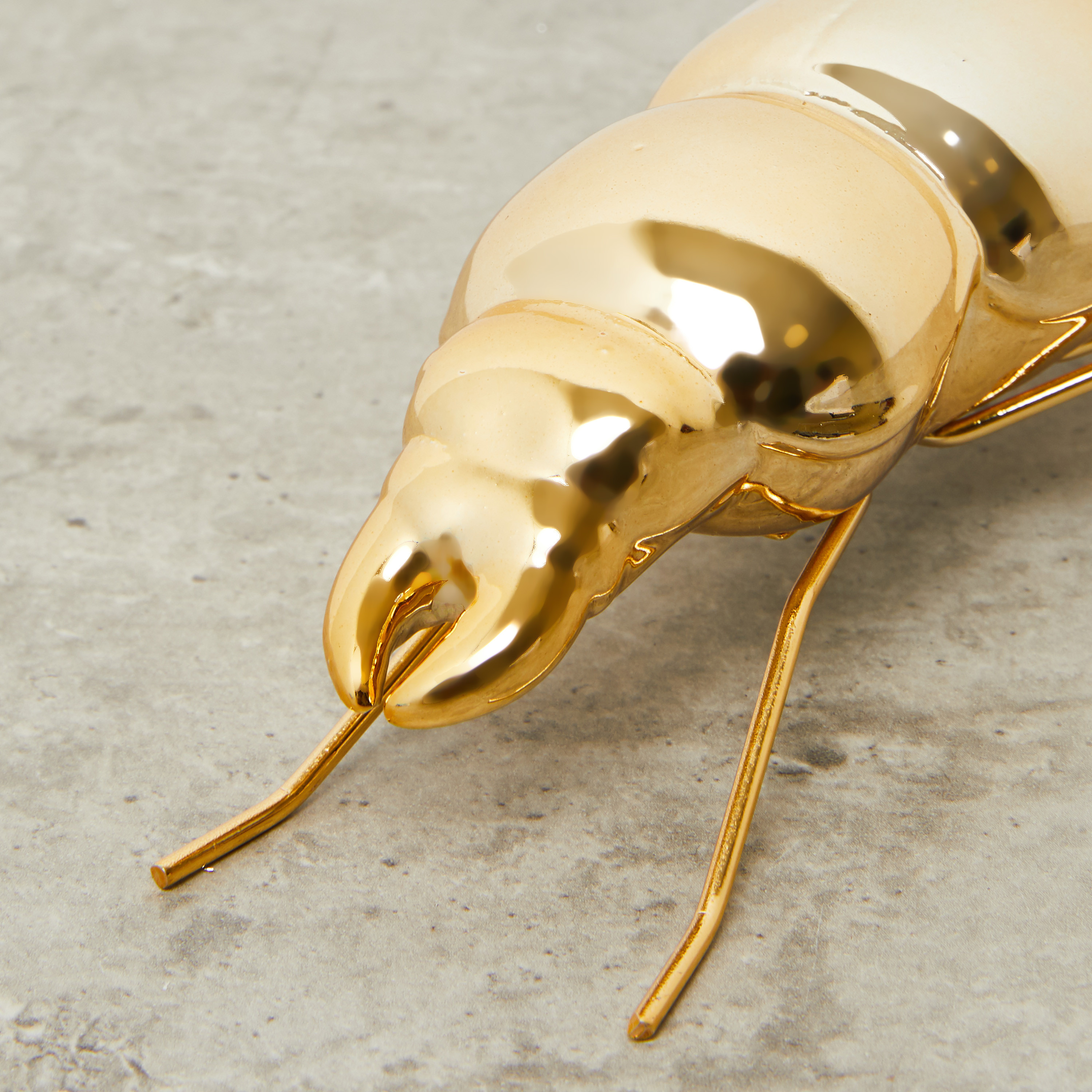 خنفساء للزينة-household-decor-decorativeobjectsandsculptures-image-3