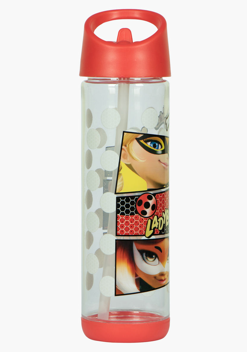 Miraculous: Tales of Ladybug & Cat Noir Printed Water Bottle - 500 ml-Water Bottles-image-1