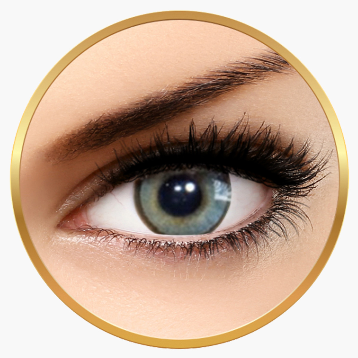 عدسات لاصقة من سولوتيكا هايدروكور جرافيتي - 12 شهرًا-beautyandpersonalcare-makeup-eyes-colorcontactlenses-image-2