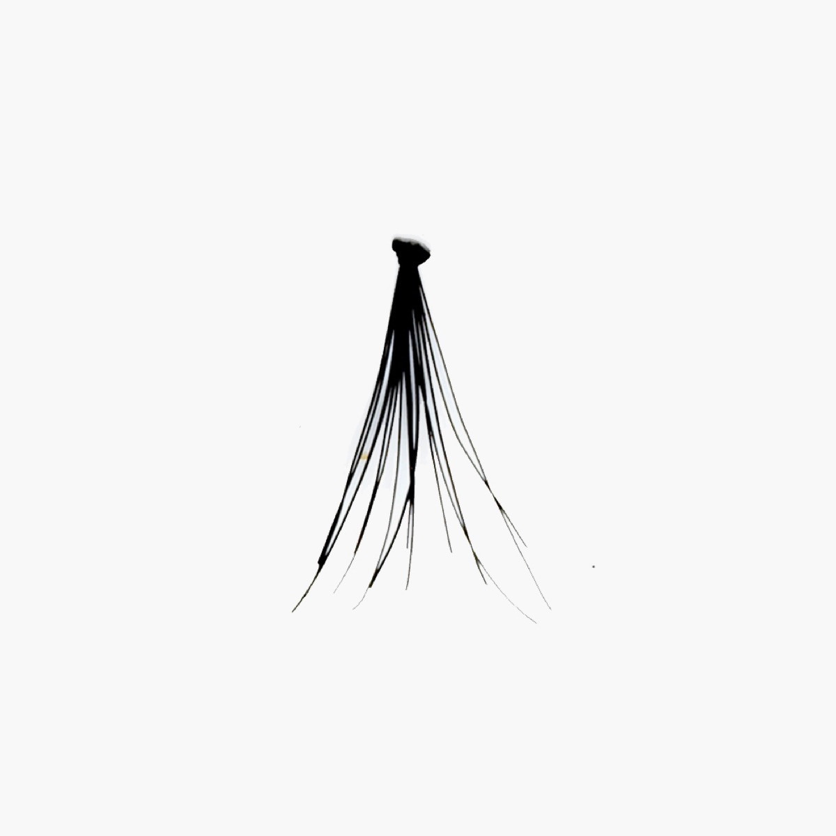 KISS i-Envy Luxe Black Flare Medium Eyelashes - Set of 70-beautyandpersonalcare-giftsets-image-3