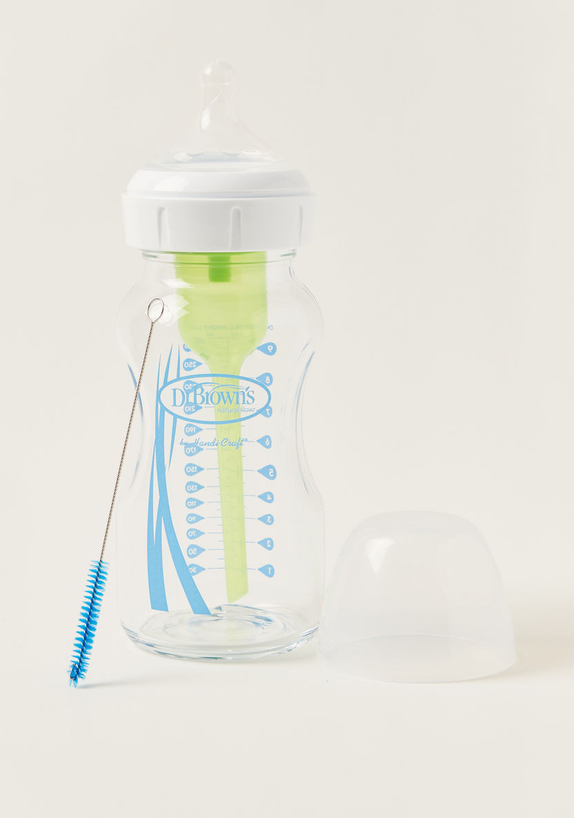 Dr. Brown's Anti-Colic Feeding Bottle - 270 ml-Bottles and Teats-image-0