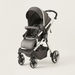 Giggles Tulip Black Baby Stroller with Sun Canopy (Upto 3 years)-Strollers-thumbnail-0