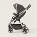 Giggles Tulip Black Baby Stroller with Sun Canopy (Upto 3 years)-Strollers-thumbnail-2