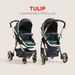 Giggles Tulip Black Baby Stroller with Sun Canopy (Upto 3 years)-Strollers-thumbnail-8