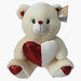 Juniors Sequin Detail Plush Teddy Bear-Plush Toys-thumbnail-0