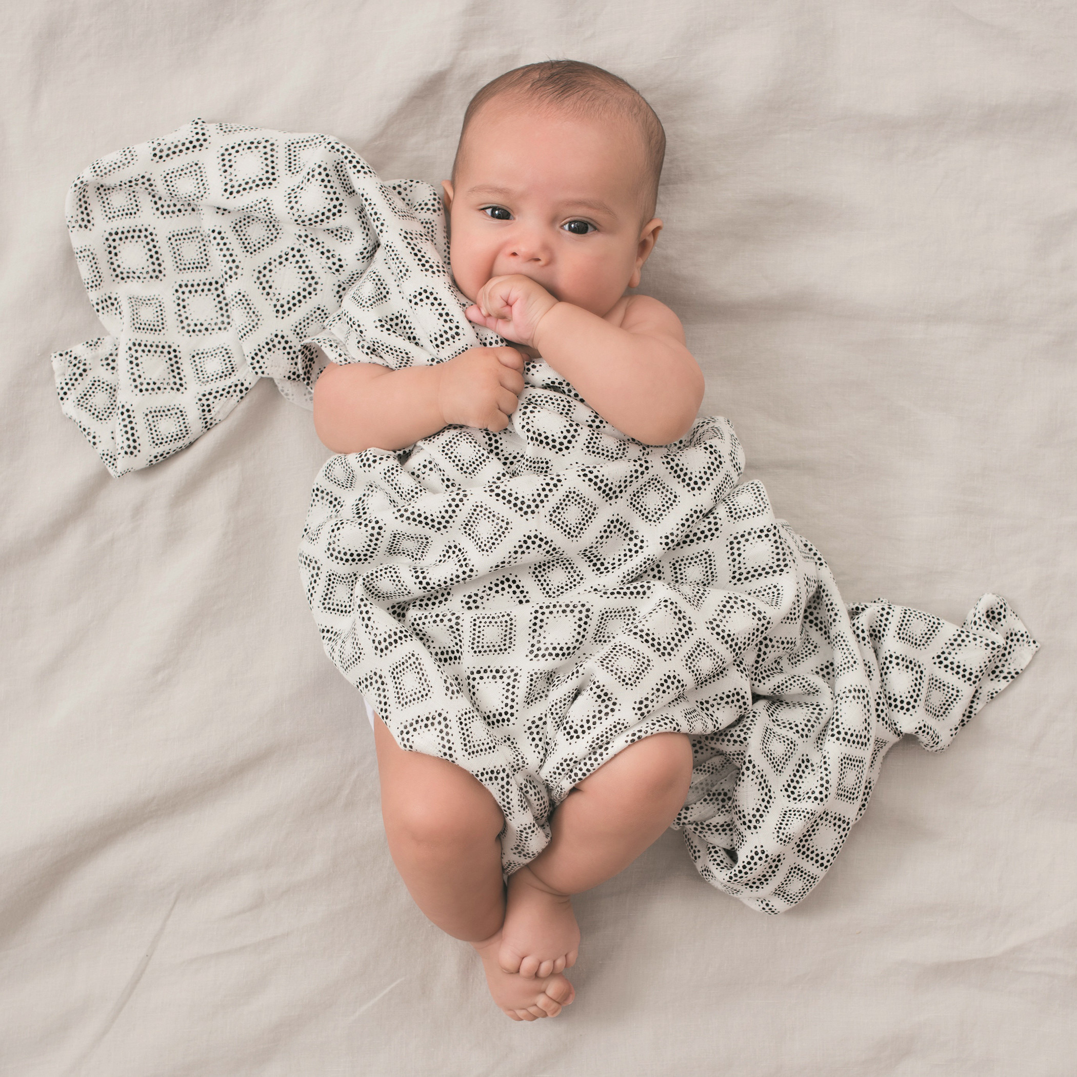 Aden and deals aden swaddle blankets