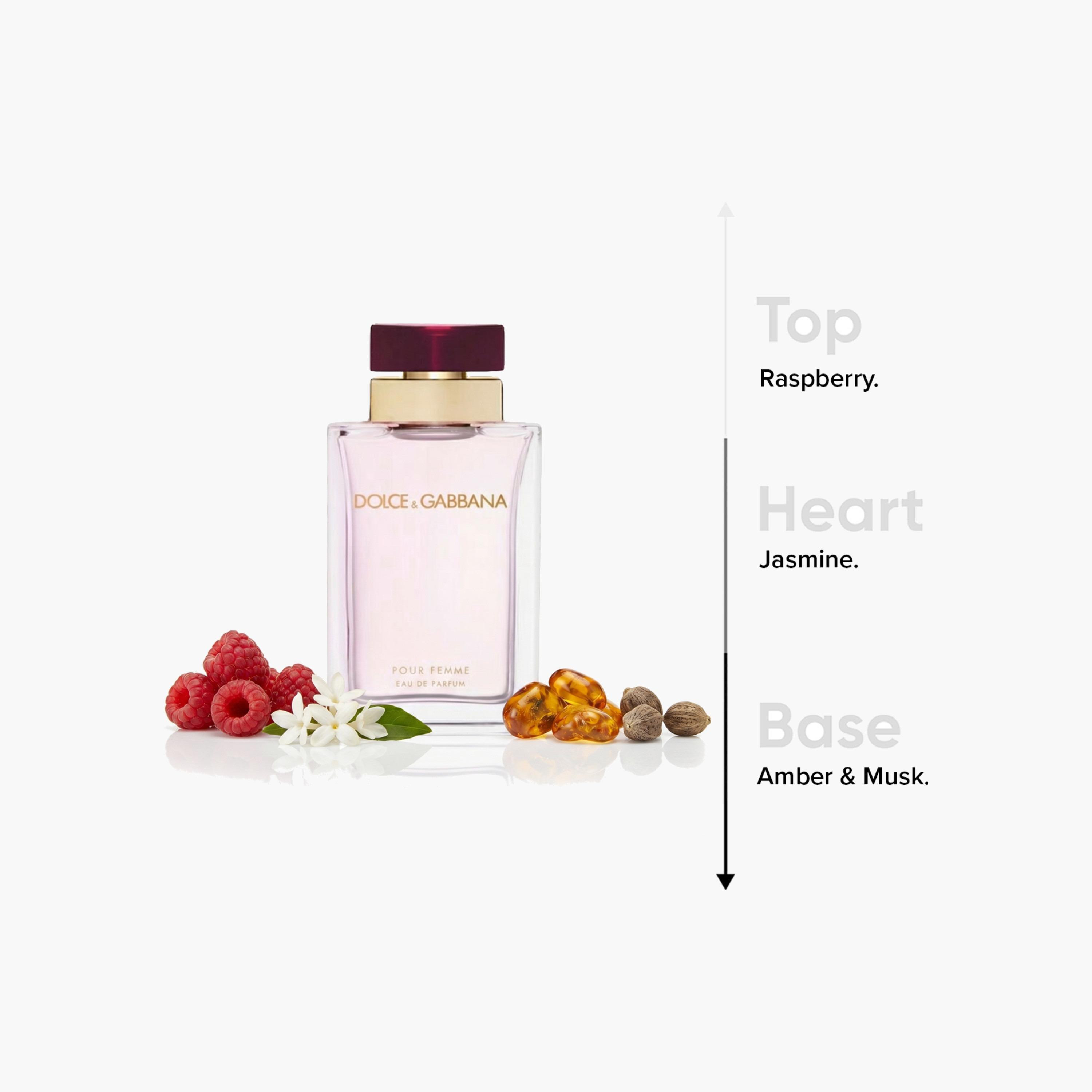 Dolce & Gabbana Pour Femme Eau De Parfum Spray - 100 ml-beautyandpersonalcare-fragrance-women-image-4