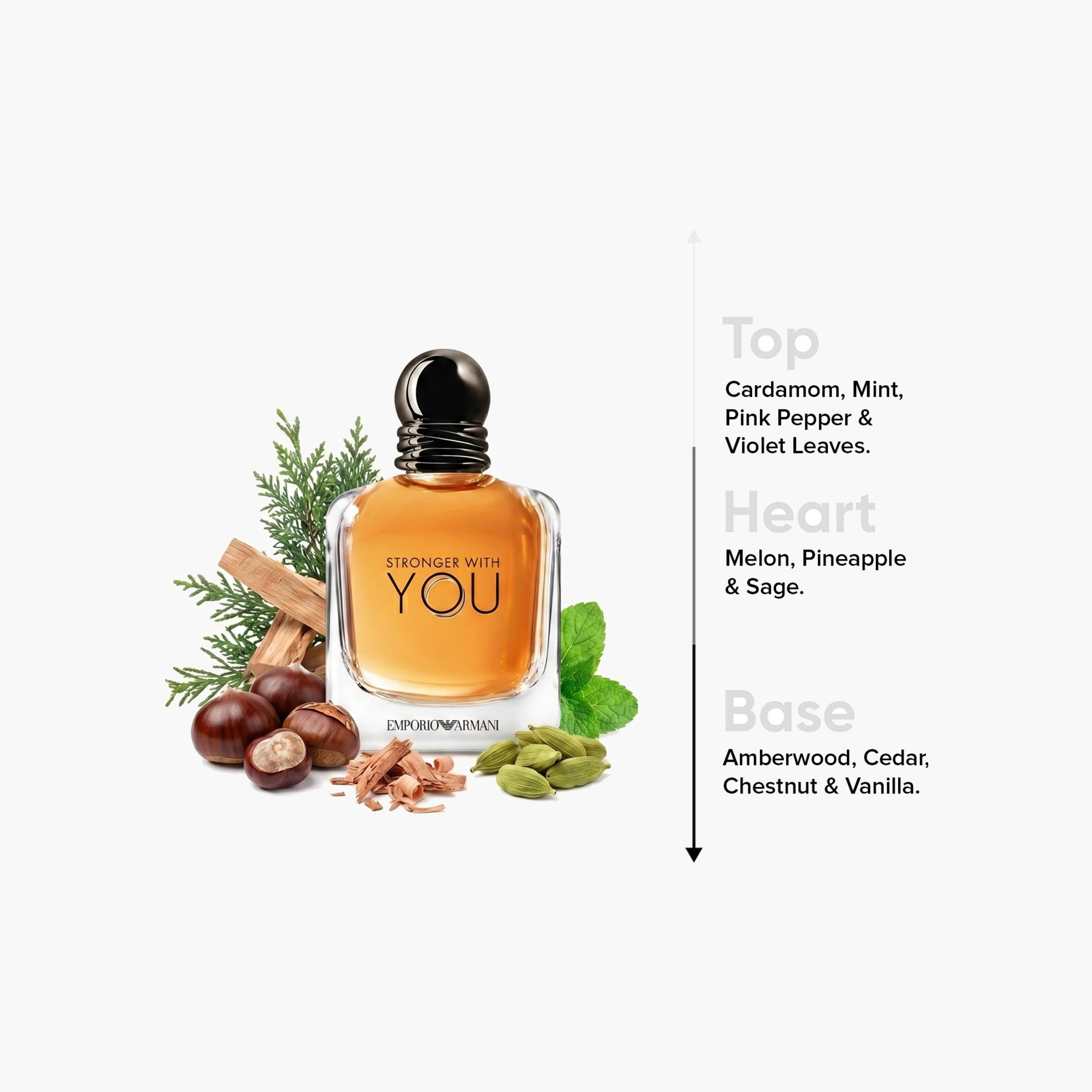 Emporio Armani Stronger with YOU - 100 ml-beautyandpersonalcare-fragrance-men-image-4