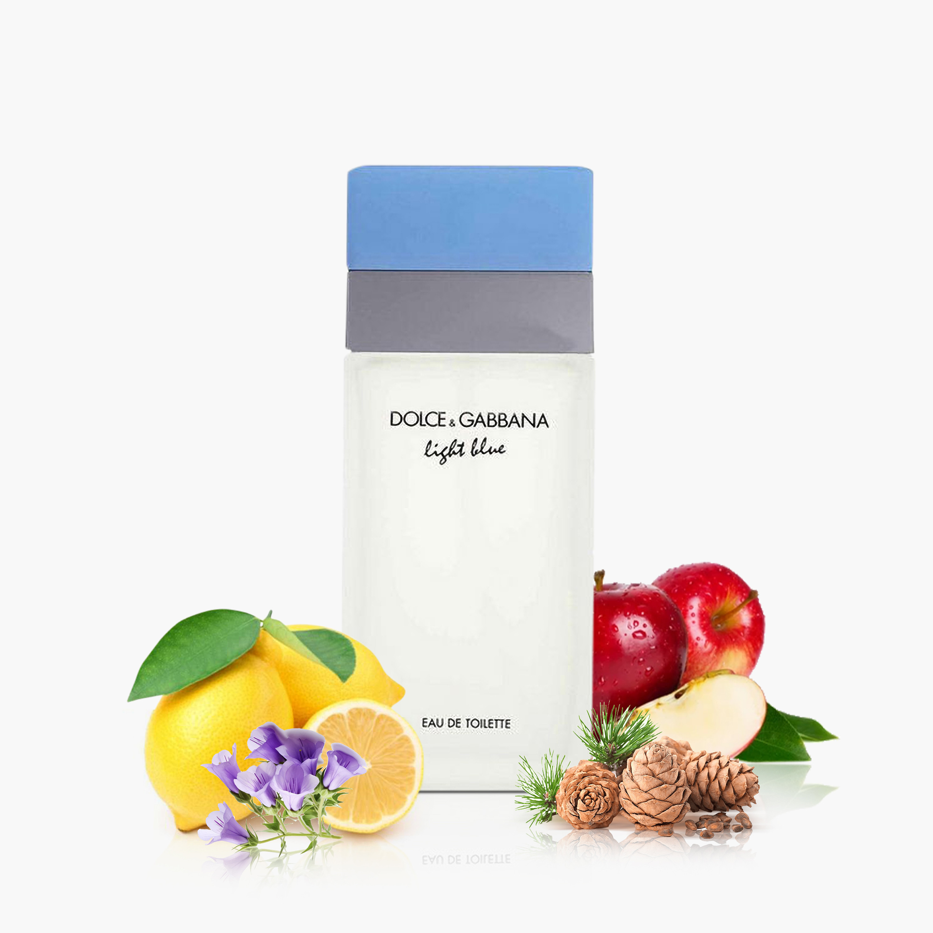 Dolce & Gabbana Light Blue Eau De Toilette Natural Spray for Women - 100 ml-beautyandpersonalcare-fragrance-women-image-3