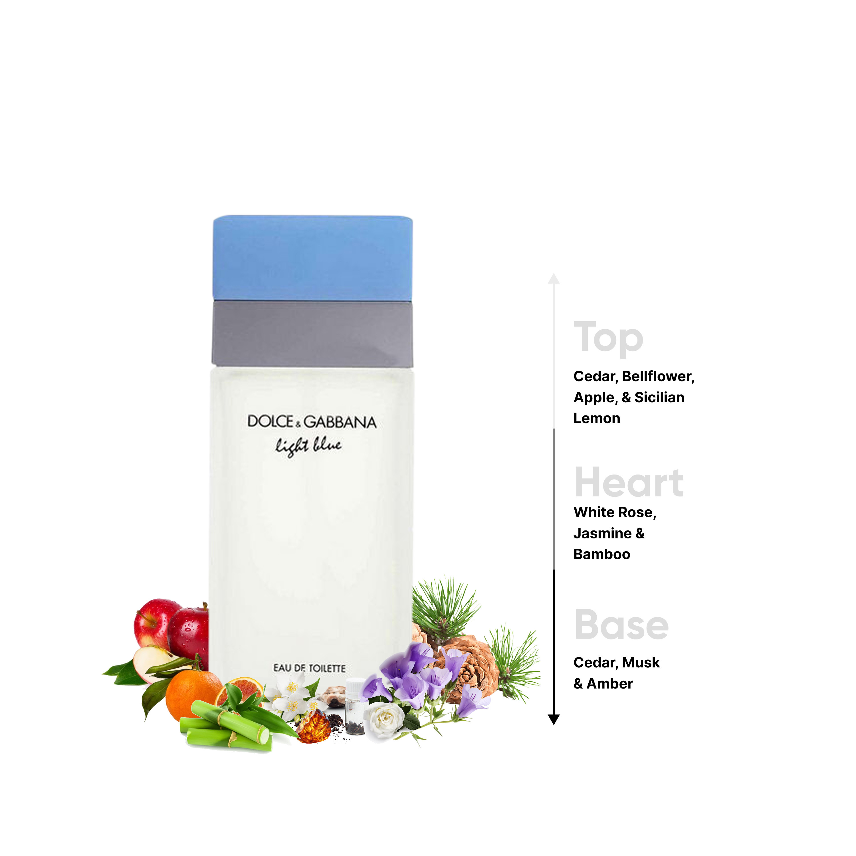 Dolce & Gabbana Light Blue Eau De Toilette Natural Spray for Women - 100 ml-beautyandpersonalcare-fragrance-women-image-4