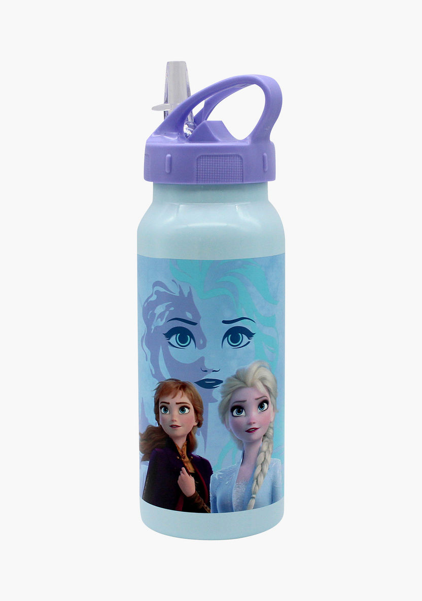 Disney Frozen 2 Print Stainless Steel Water Bottle-Water Bottles-image-0