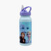 Disney Frozen 2 Print Stainless Steel Water Bottle-Water Bottles-thumbnail-0