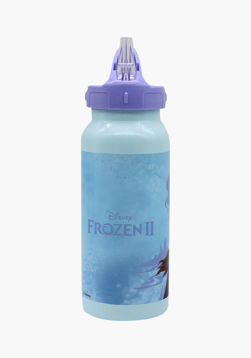 Disney Frozen 2 Print Stainless Steel Water Bottle-Water Bottles-image-1