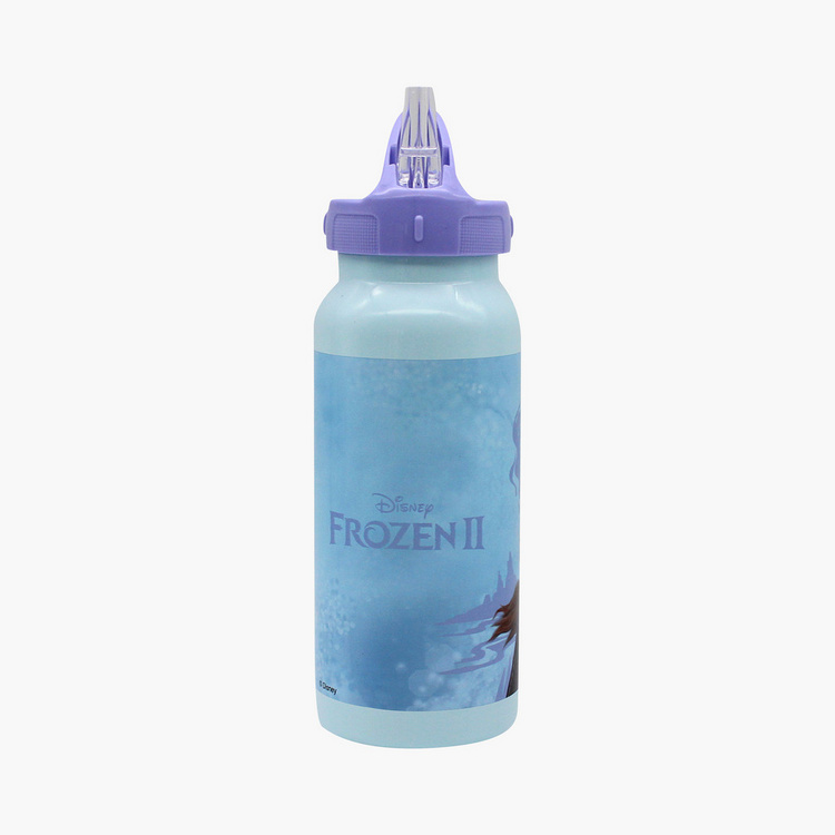 Disney Frozen 2 Print Stainless Steel Water Bottle