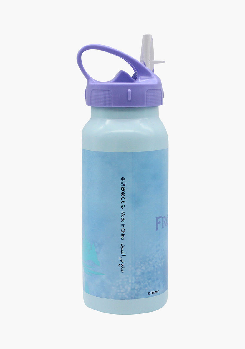 Disney Frozen 2 Print Stainless Steel Water Bottle-Water Bottles-image-2