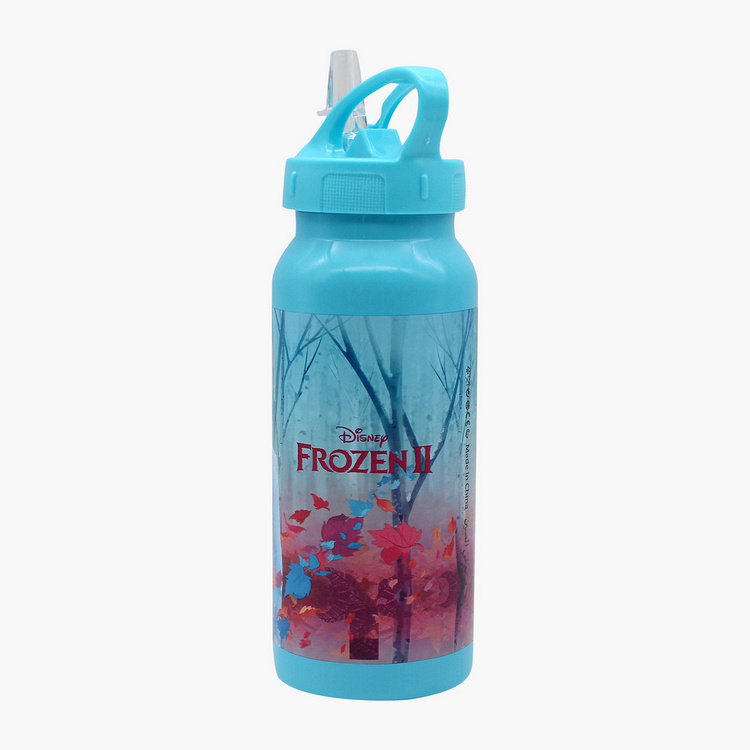 Disney Frozen Print Water Bottle with Straw