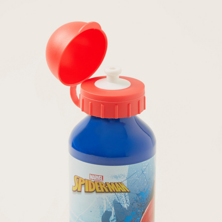 Spider-Man Print Water Bottle with Cap