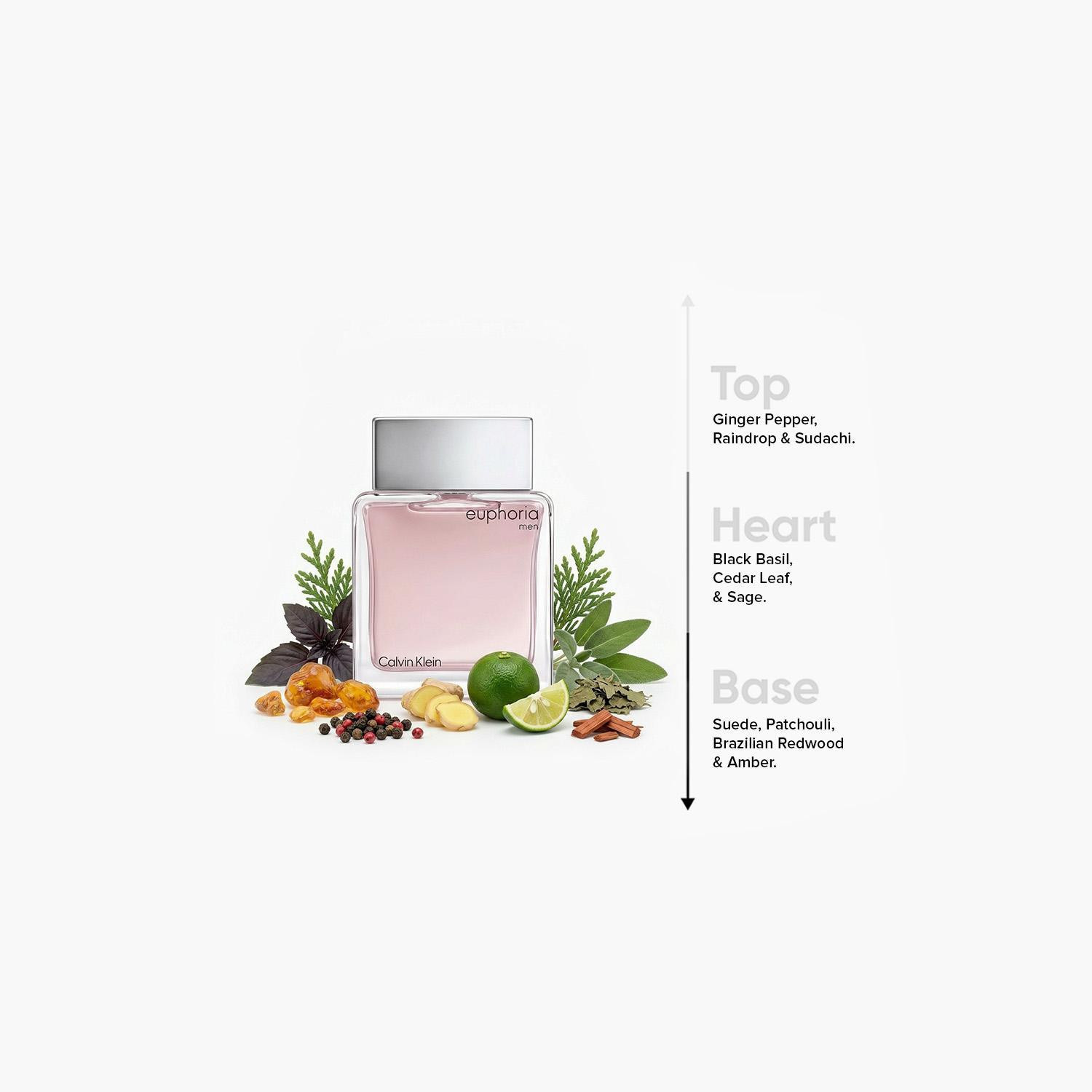 Calvin Klein Euphoria Eau de Toilette Spray for Men - 100 ml-beautyandpersonalcare-fragrance-men-image-4
