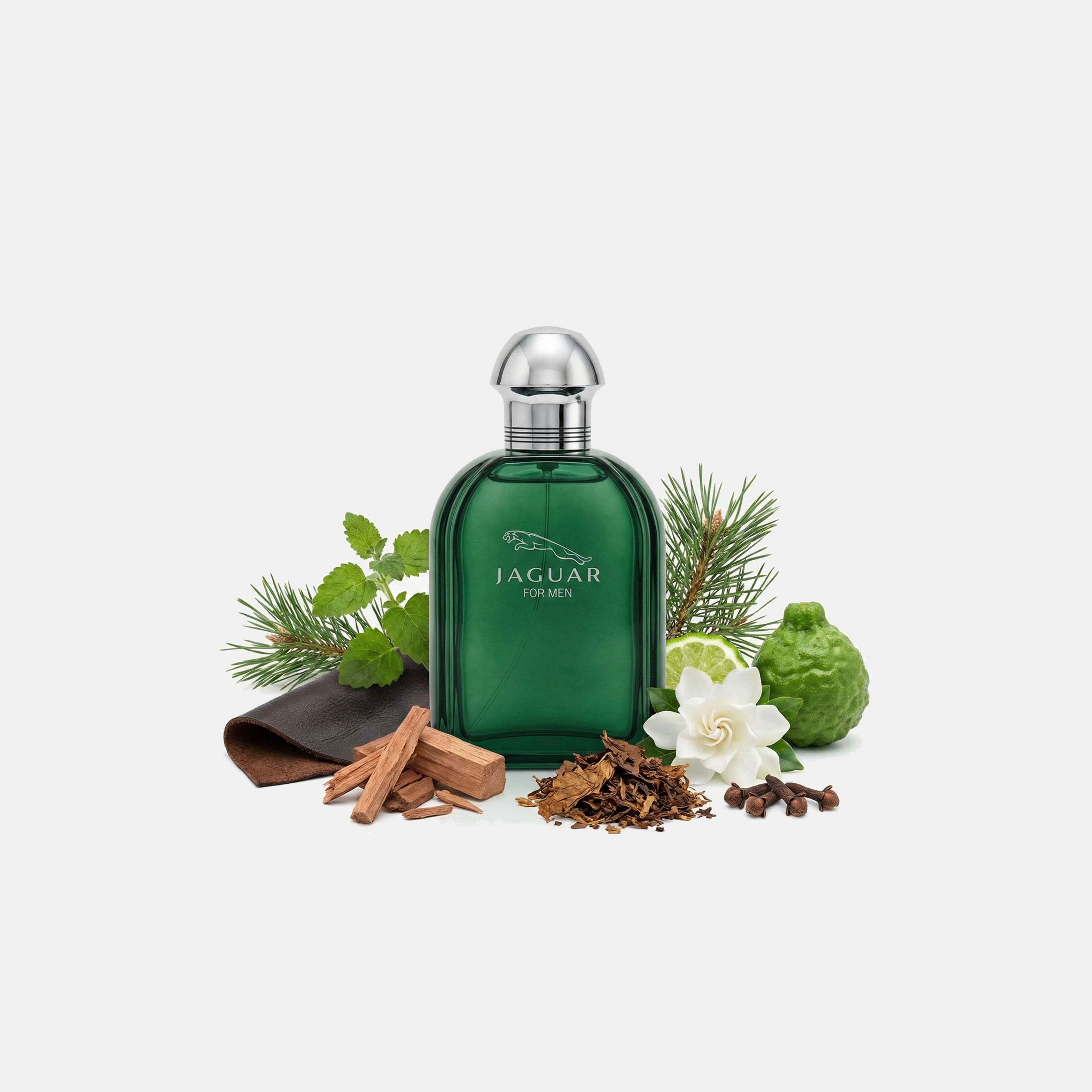 جاكوار أو دي تواليت ناتشرال سبراي للرجال - 100 مل-beautyandpersonalcare-fragrance-men-image-3