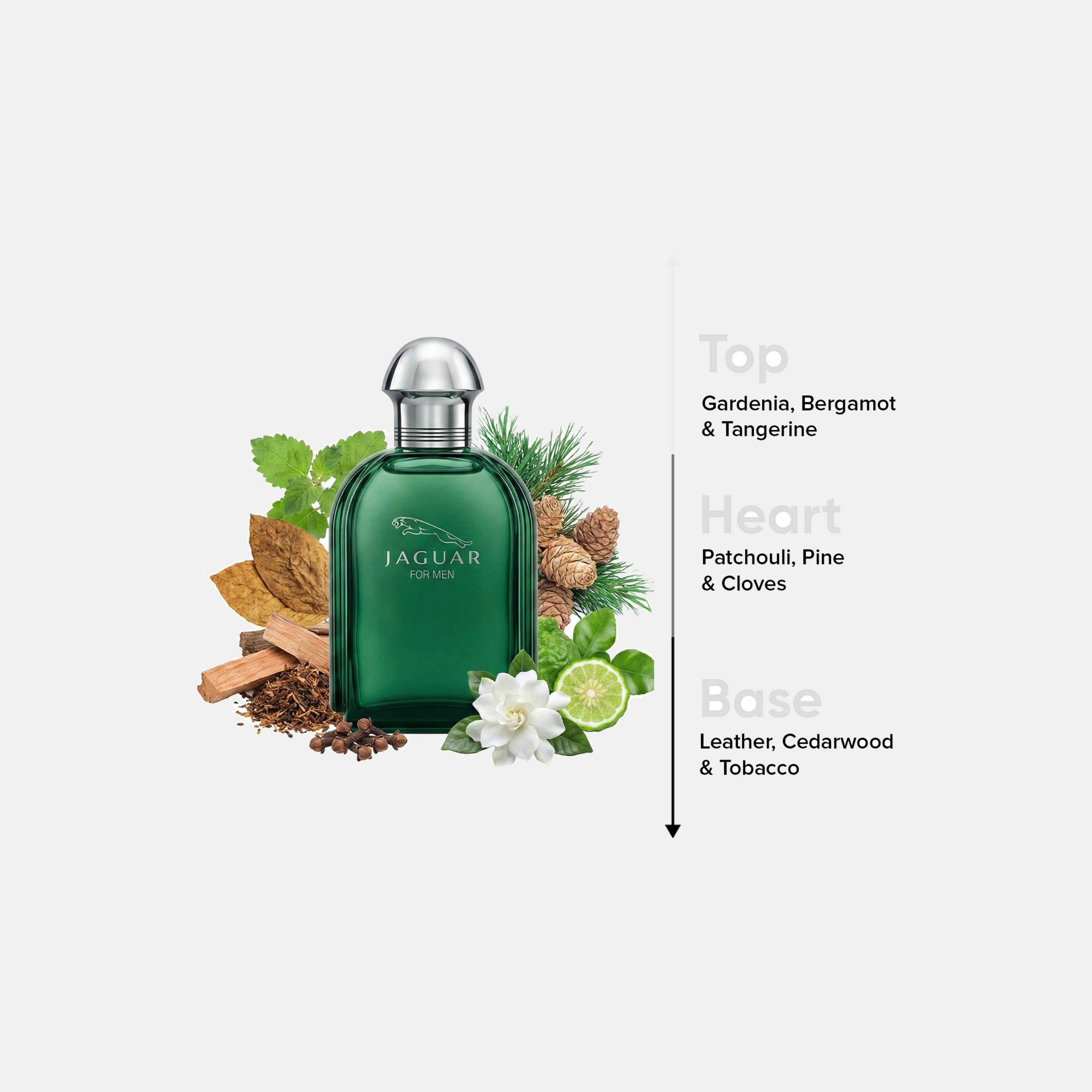 جاكوار أو دي تواليت ناتشرال سبراي للرجال - 100 مل-beautyandpersonalcare-fragrance-men-image-4