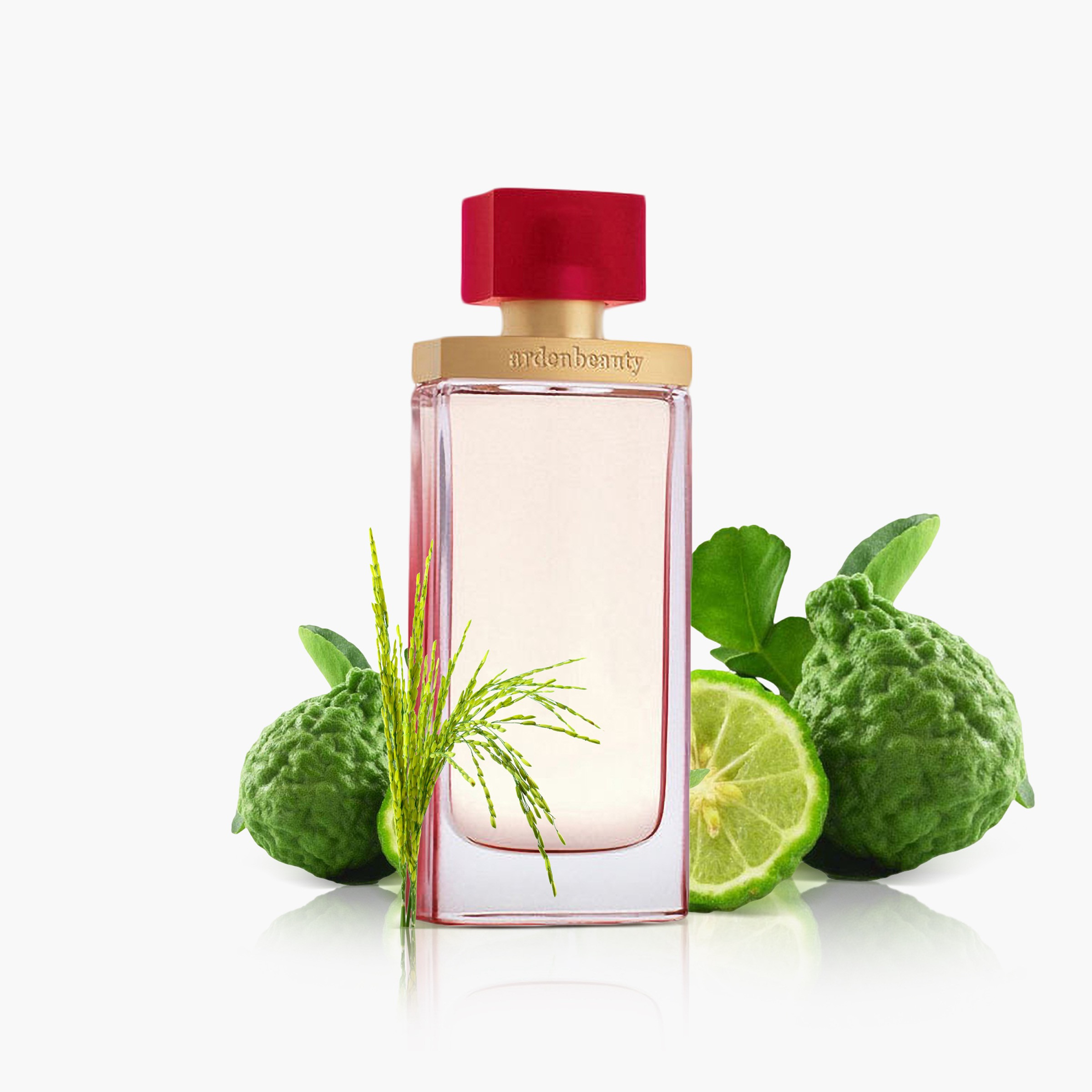 Elizabeth Arden Beauty Eau De Parfum Spray for Women - 100 ml-beautyandpersonalcare-fragrance-women-image-3