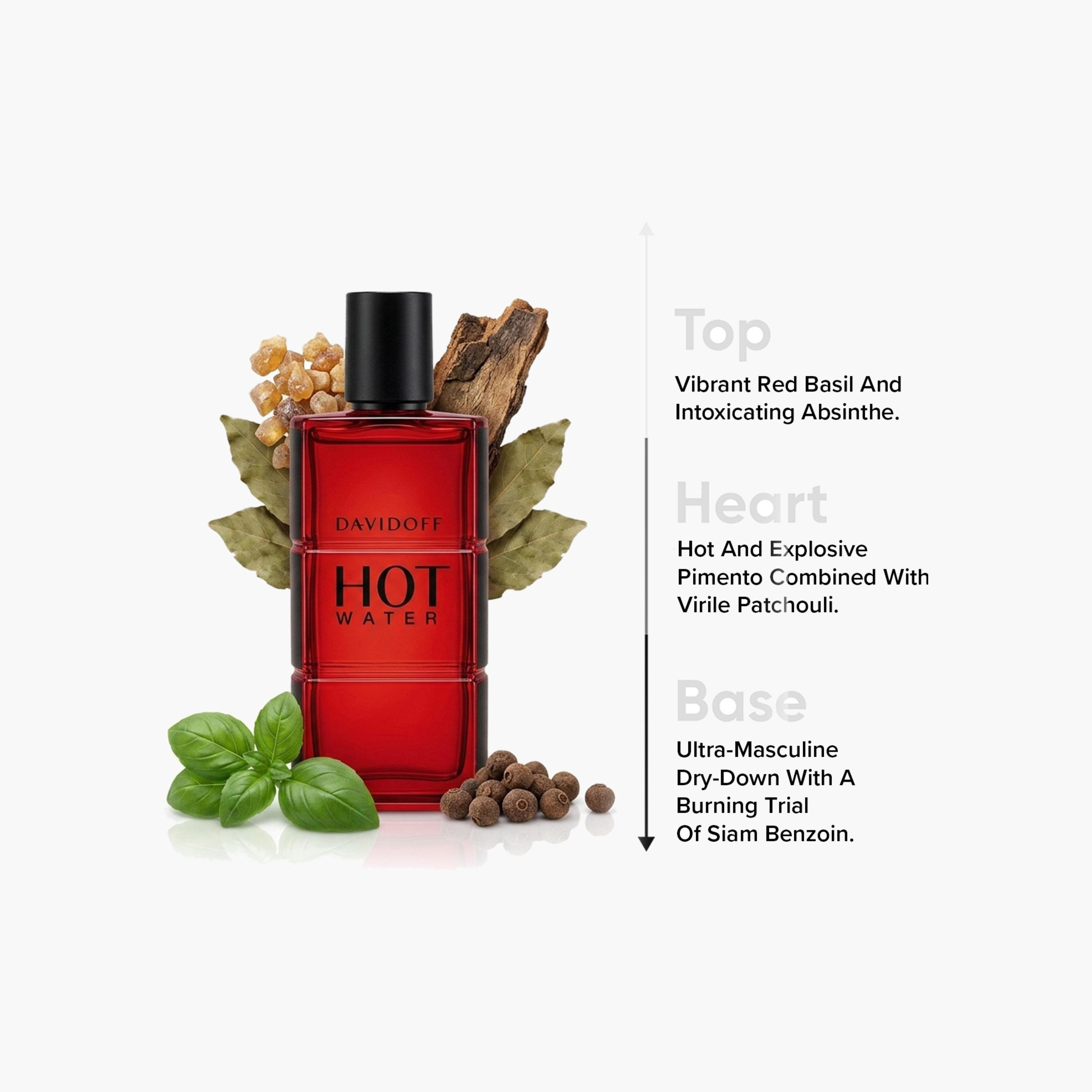 بخاخ عطر أو دي تواليت هوت ووتر للرجال من دافيدوف - 110 مل-beautyandpersonalcare-fragrance-men-image-4