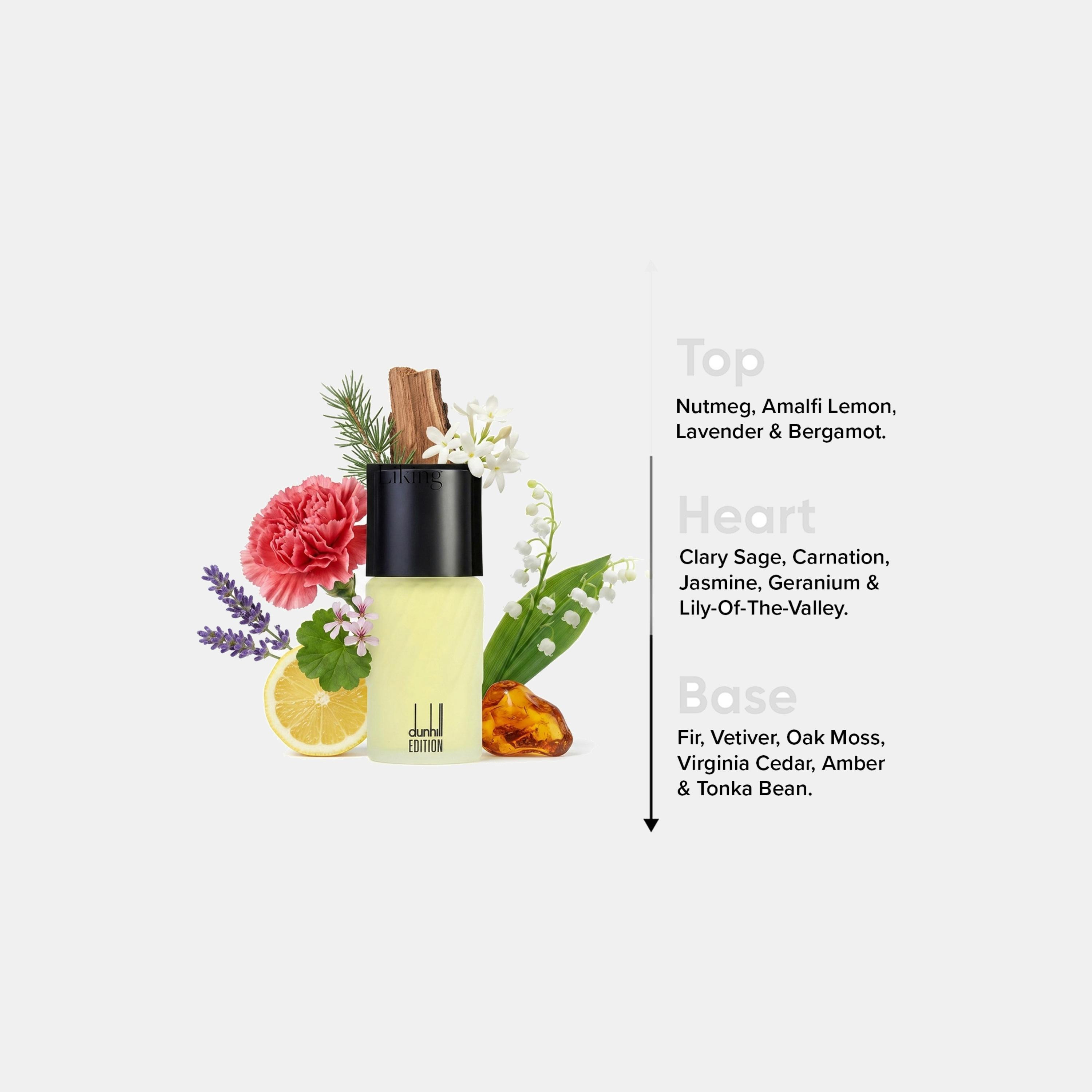 Dunhill London Edition Eau De Toilette Spray for Man - 100 ml-beautyandpersonalcare-fragrance-men-image-4