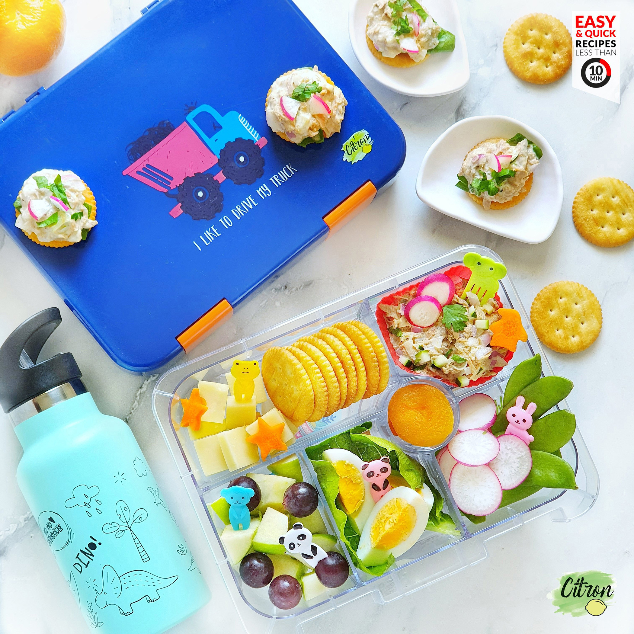 صندوق غداء بـ 6 أقسام من سيترون-school-lunchessentials-lunchboxes-image-6