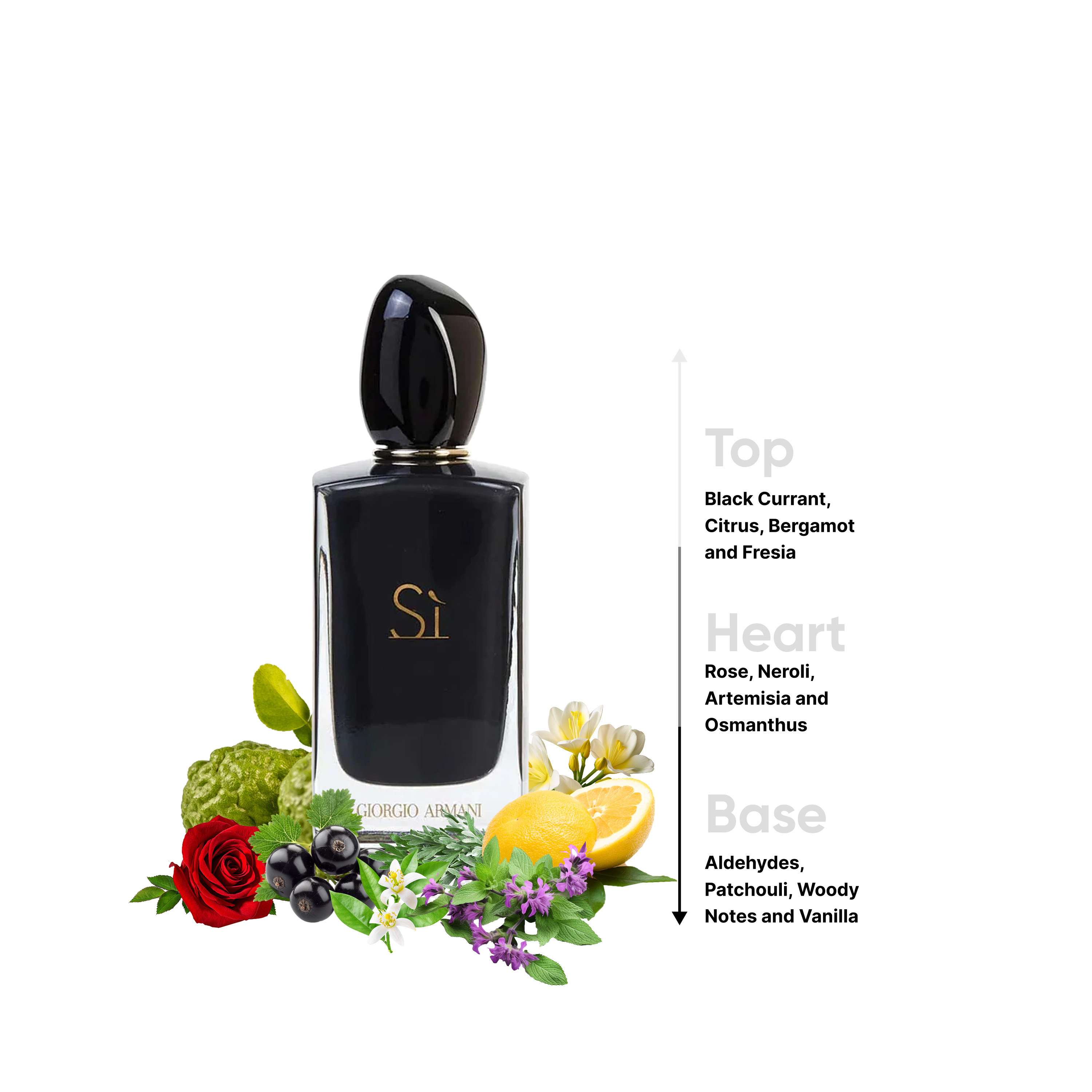 Giorgio Armani Si Intense Eau De Parfum Spray - 100 ml-beautyandpersonalcare-fragrance-women-image-4