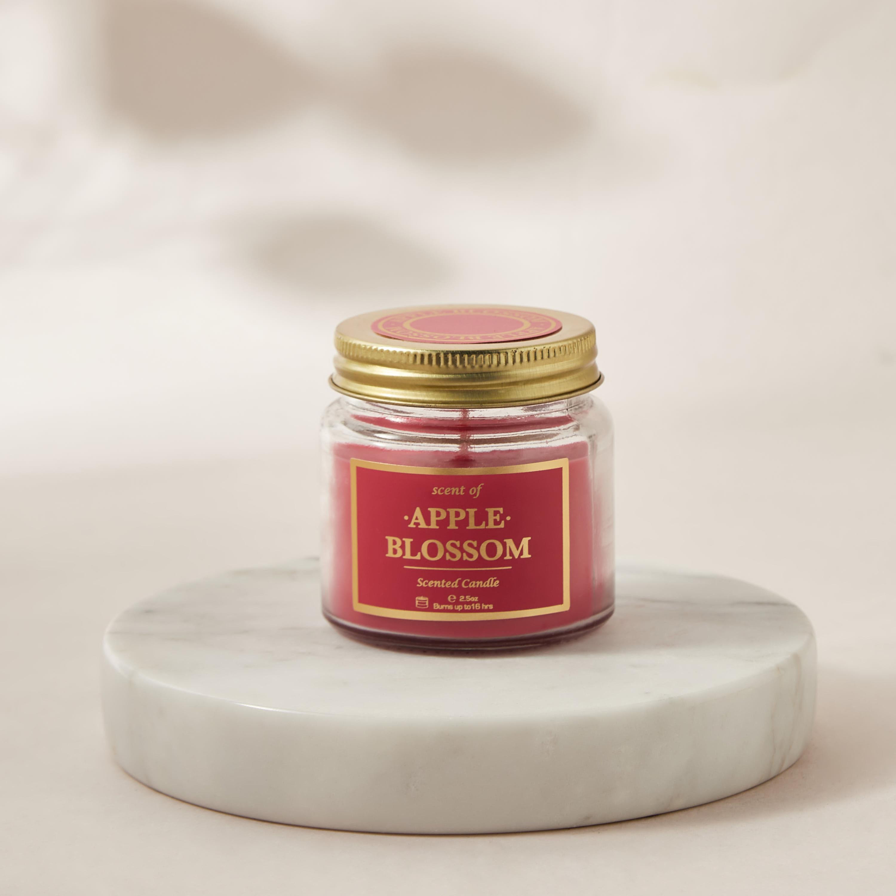Rose and Jasmine Scented Jar Candle - 70 gms-household-homefragrance-candles-image-2
