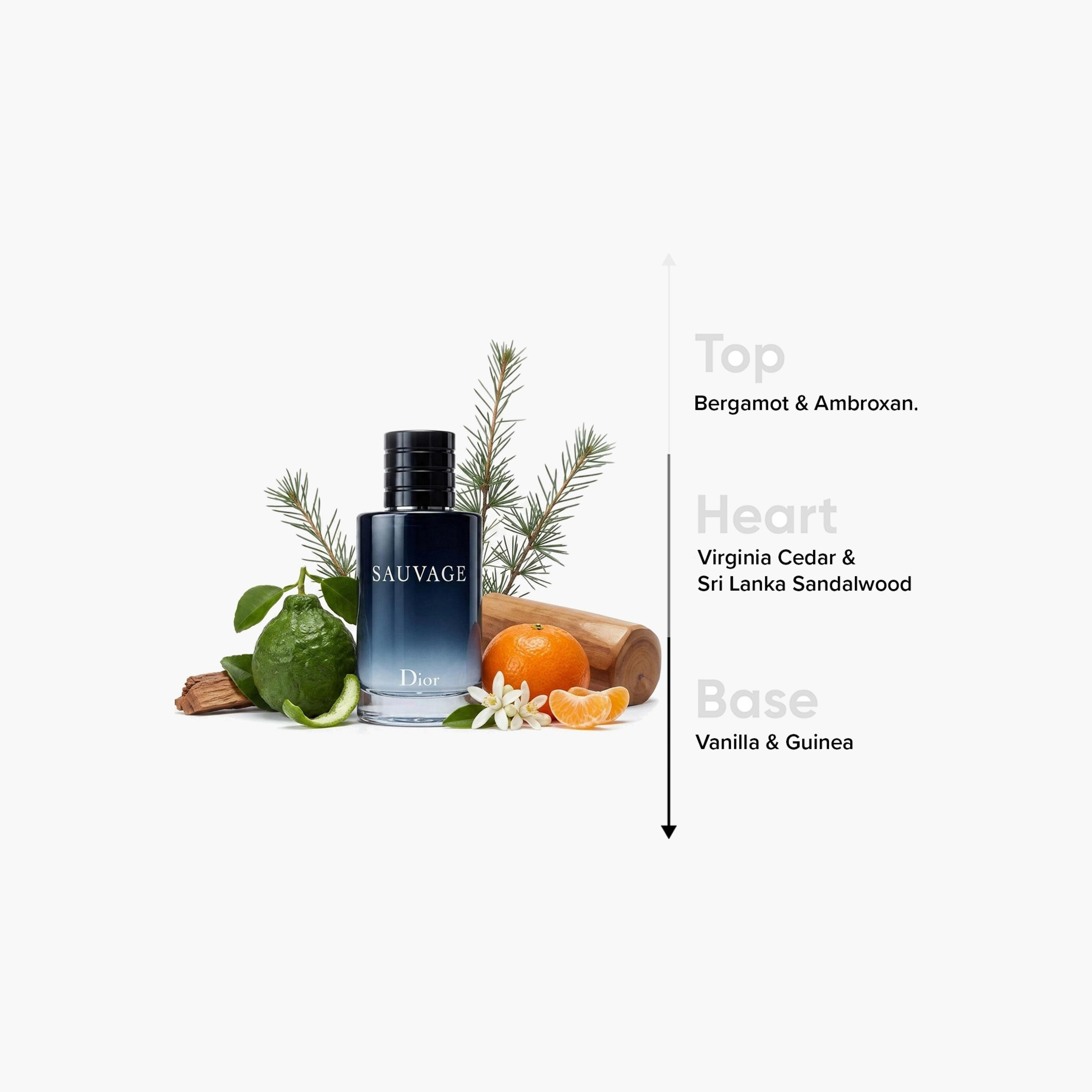 Christian Dior Men's Sauvage Black Eau De Toilette Spray - 100 ml-beautyandpersonalcare-fragrance-men-image-4