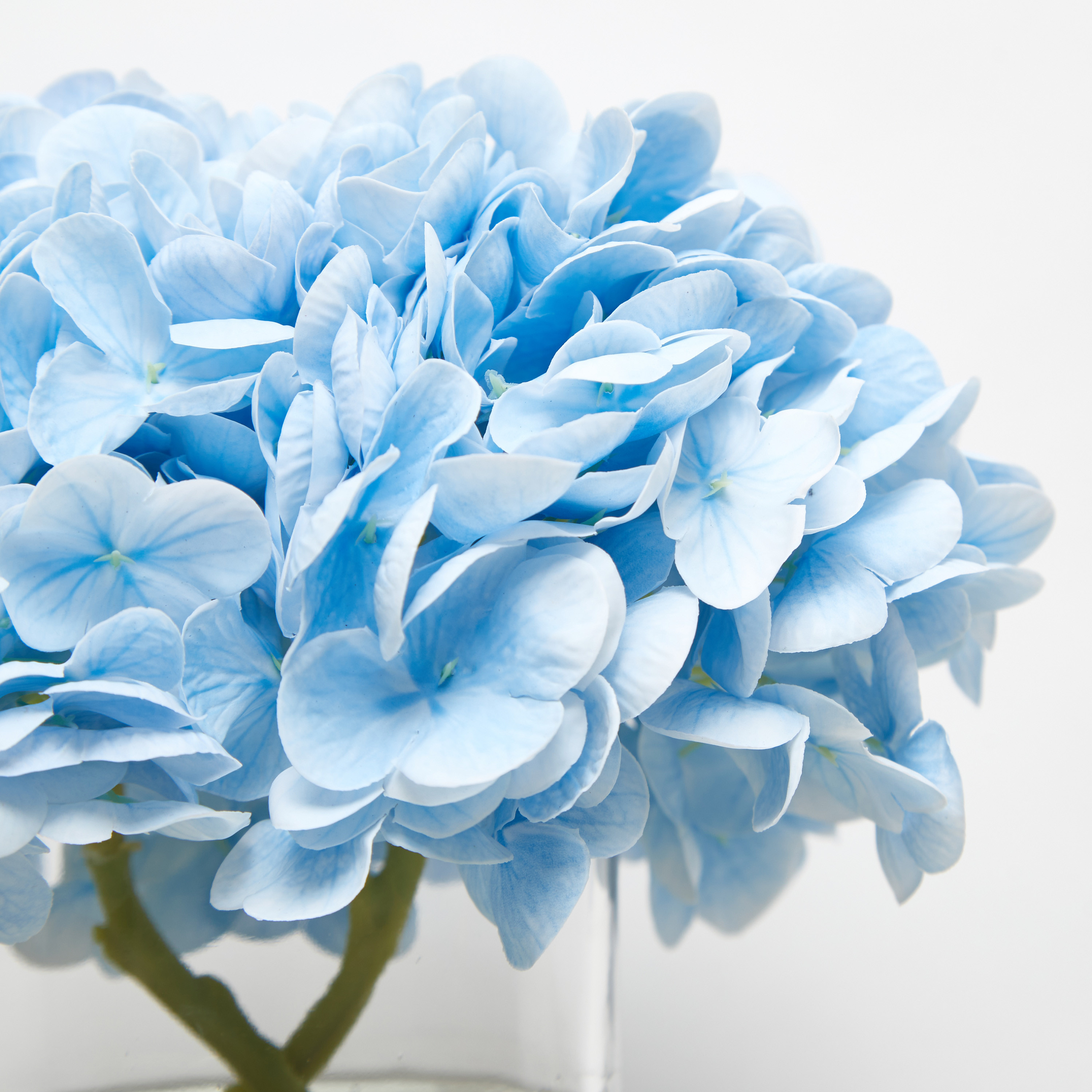 Shop Artificial Hydrangea Flowers in Cylindrical Vase - 18 cms Online ...