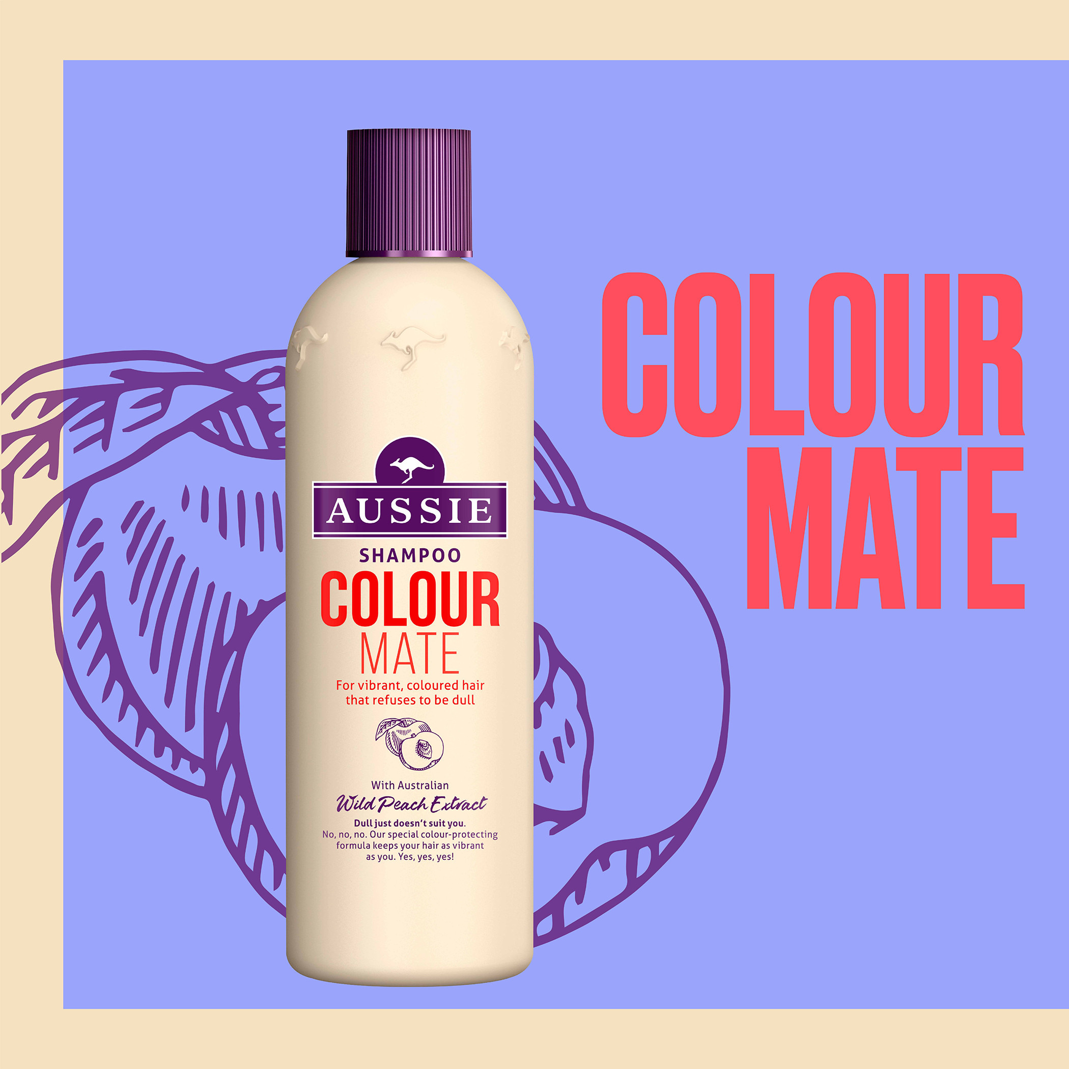 شامبو كلر ميت للشعر المصبوغ والحيوي من أوسي - 300 مل-beautyandpersonalcare-hair-haircare-shampoos-image-2