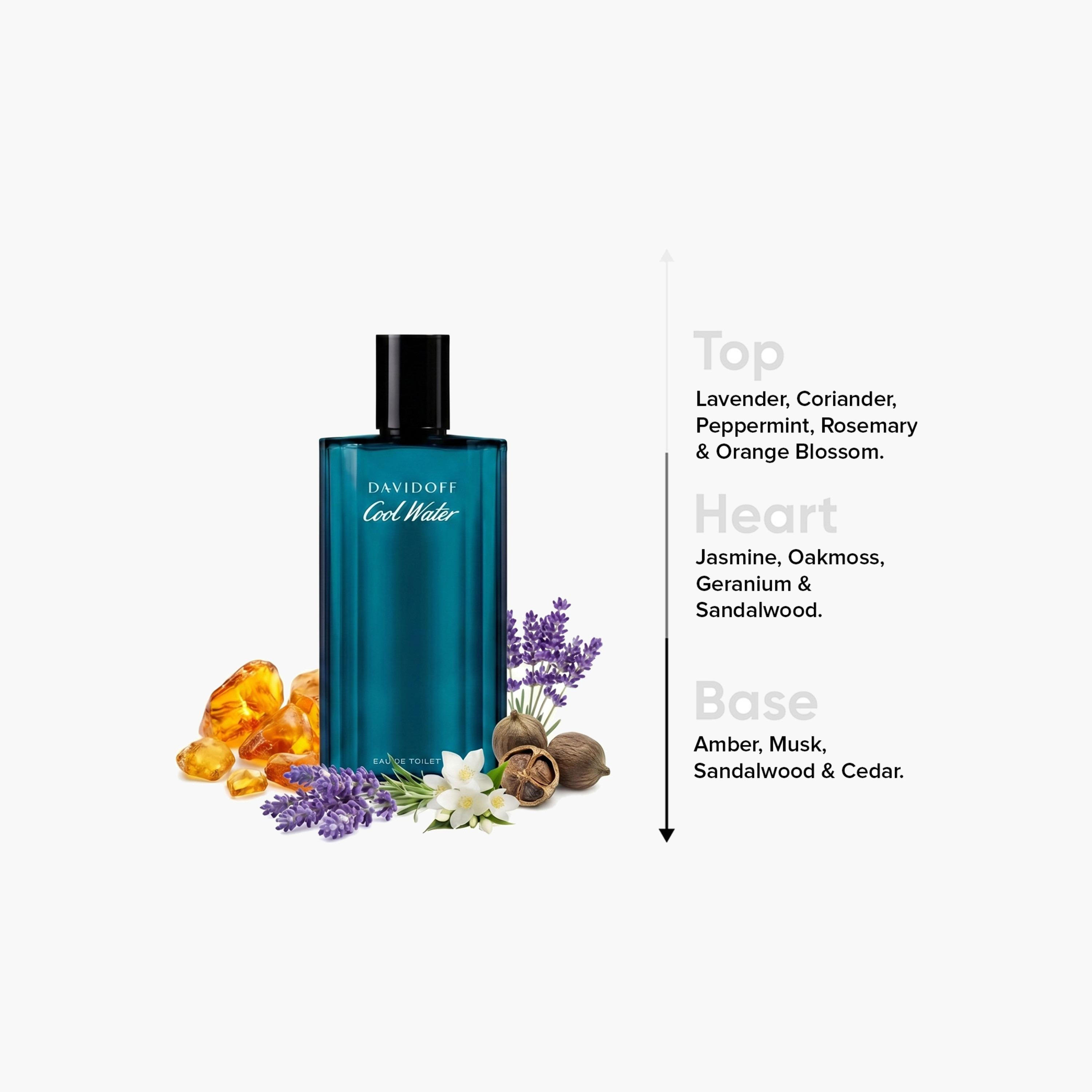 Davidoff Cool Water Eau De Toilette Spray - 200 ml-beautyandpersonalcare-fragrance-men-image-4