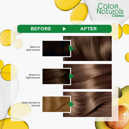 Buy Garnier Color Naturals 6 Dark Blonde Hair Color Online | Centrepoint UAE