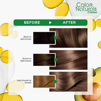 Buy Garnier Color Naturals 6 Dark Blonde Hair Color Online | Centrepoint UAE Buy Garnier Color Naturals 6 Dark Blonde Hair Color Online | Centrepoint UAE