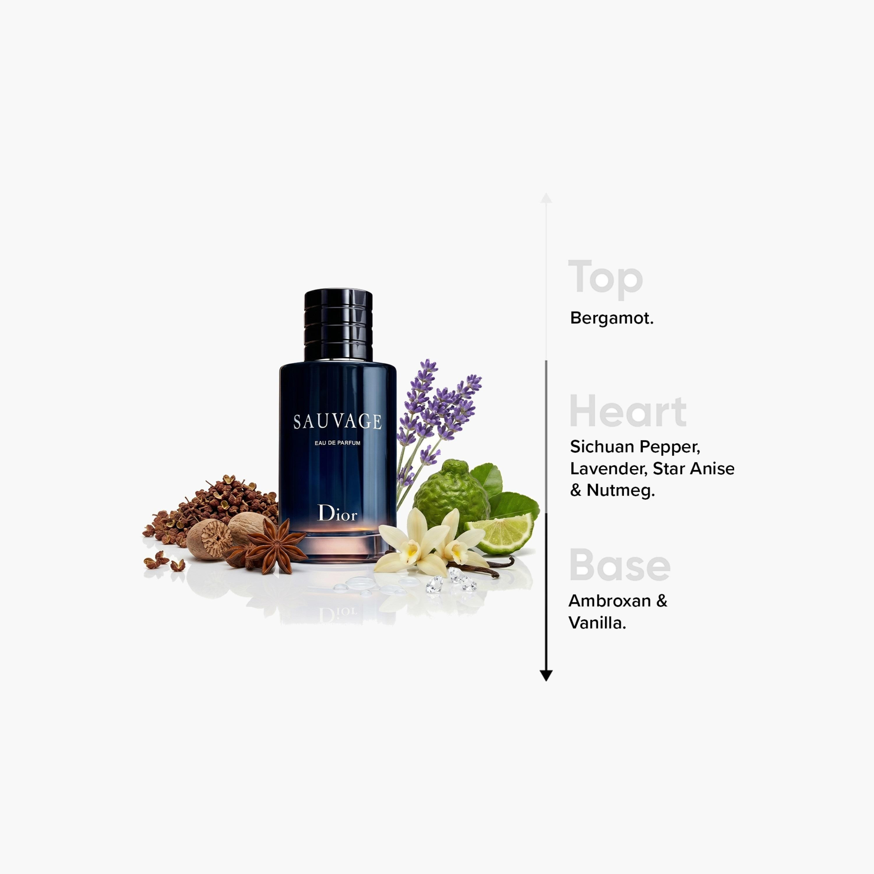 أو دي برفيوم سوفاج من كريستيان ديور - 60 مل-beautyandpersonalcare-fragrance-men-image-4