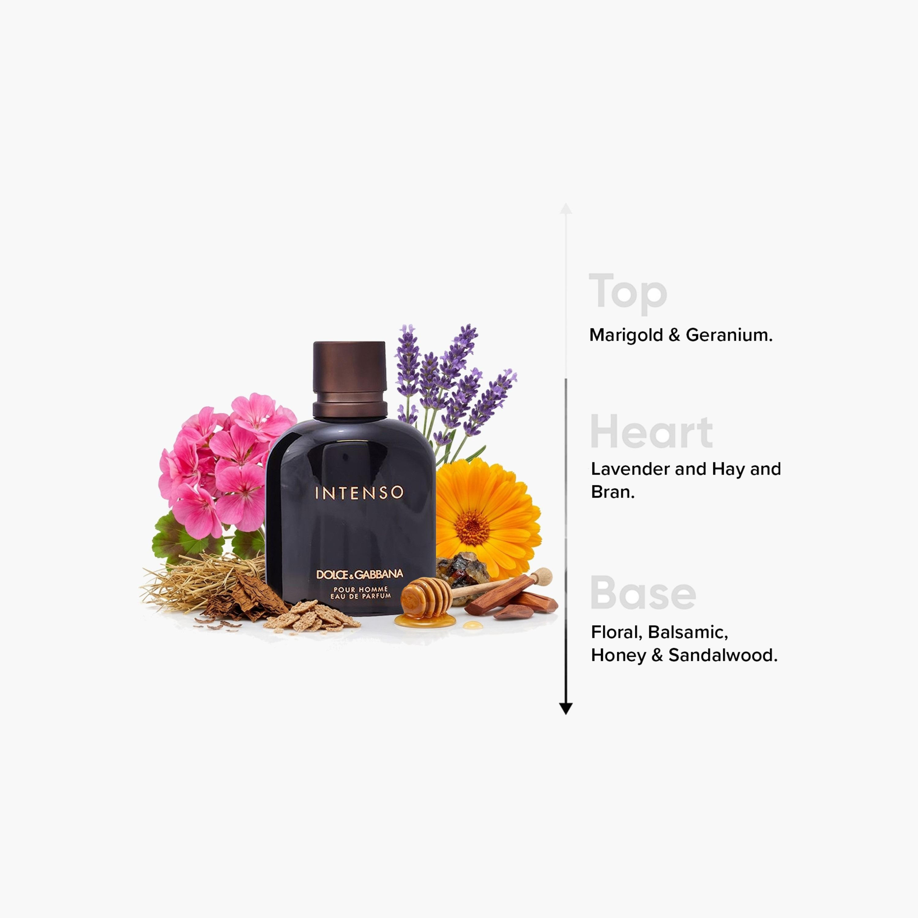 Dolce & Gabbana Men's Intenso Pour Homme Eau De Parfum - 125 ml-beautyandpersonalcare-fragrance-men-image-4