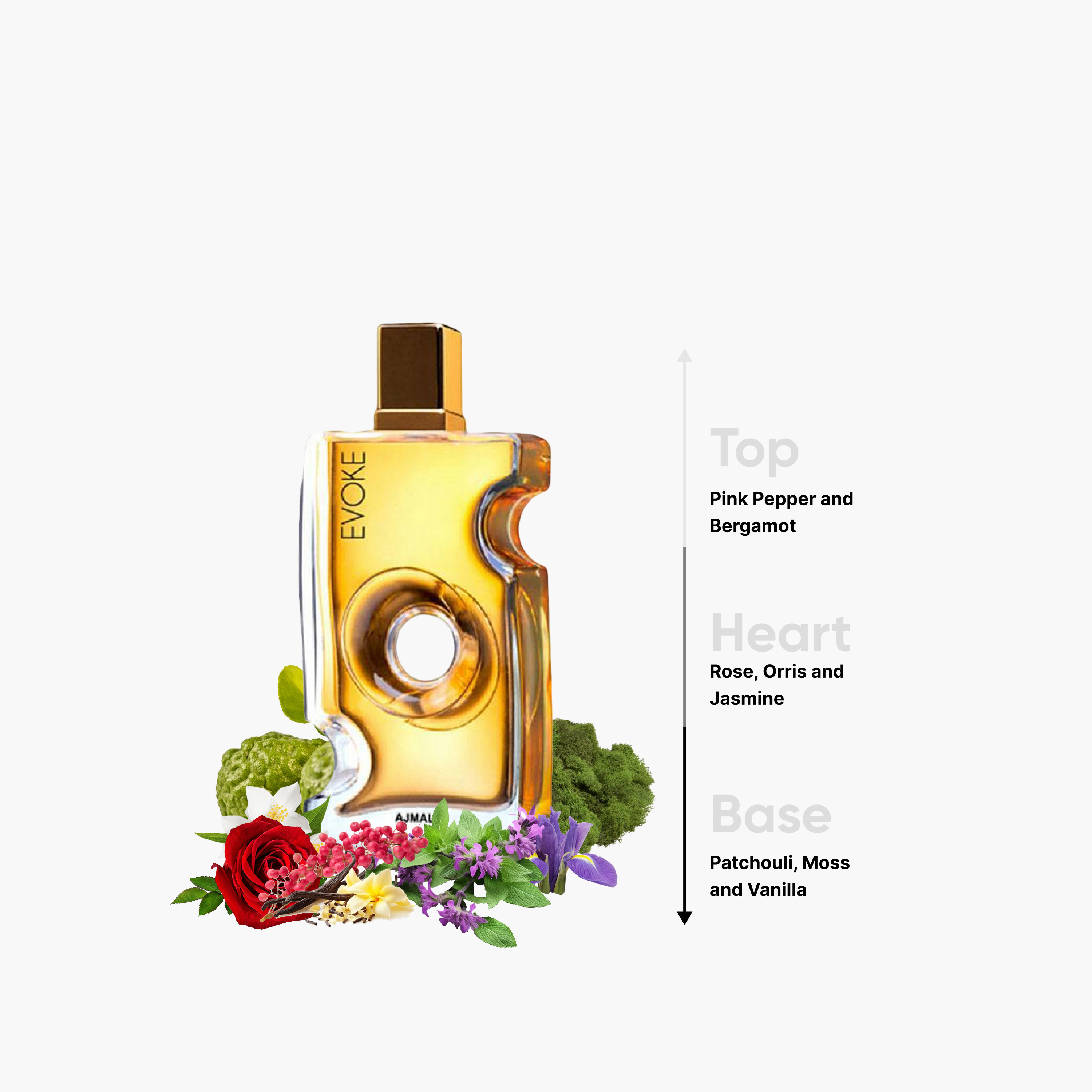 عطر بخّاخ أو دي برفان إيفوك من أجمل- 75 مل-beautyandpersonalcare-fragrance-women-image-2