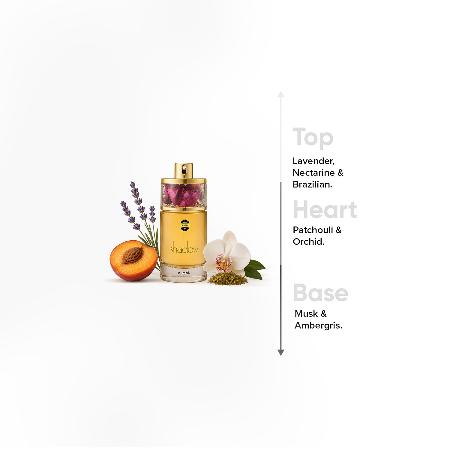 Ajmal Shadow Eau De Parfum Spray - 75 ml-beautyandpersonalcare-fragrance-women-image-4