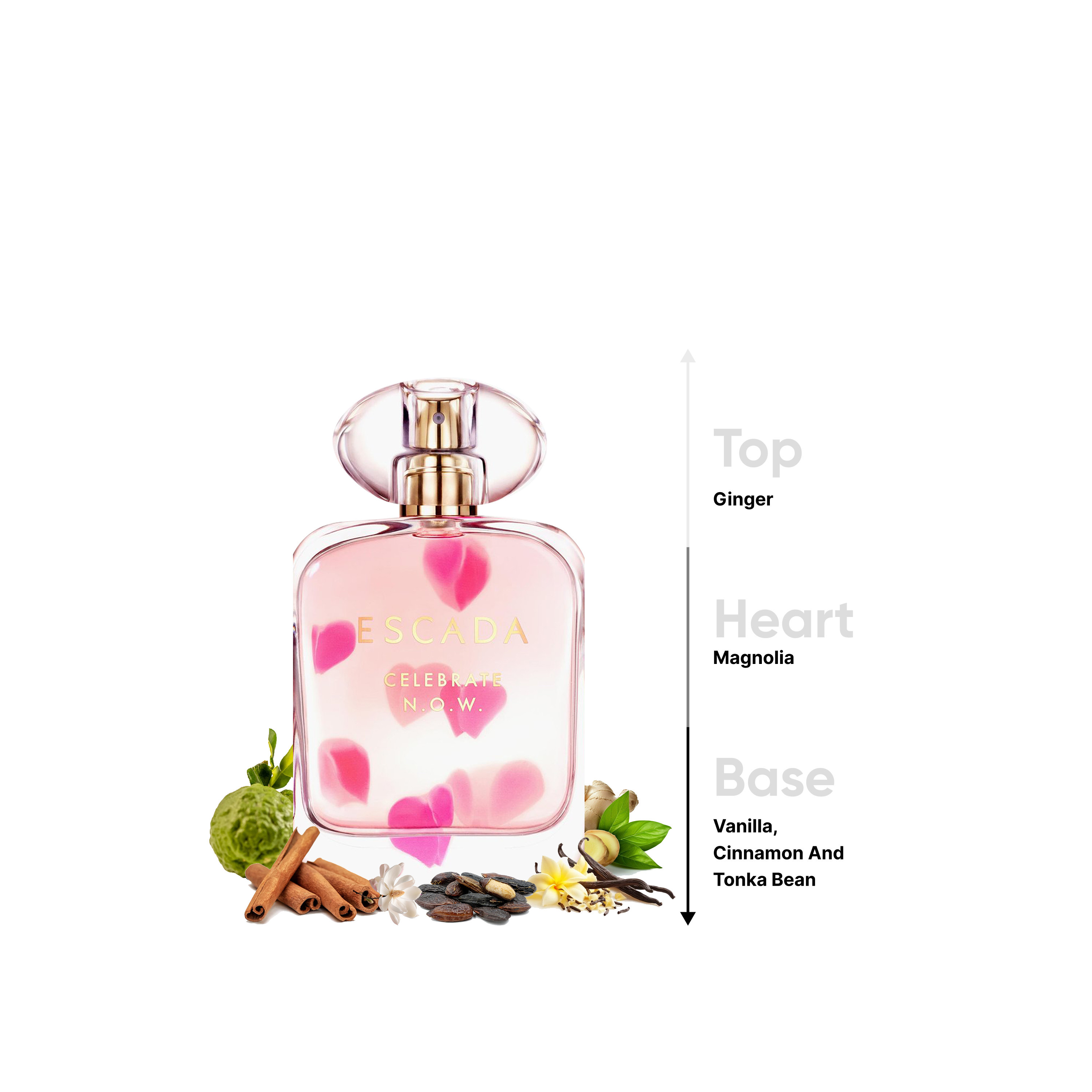 Escada Celebrate N.O.W Eau de Parfum Spray for Women - 80 ml-beautyandpersonalcare-fragrance-women-image-4