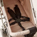 Giggles Touring Beige Baby Buggy with Canopy and Multi-Position Reclining Seat (Upto 3 years) -Buggies-thumbnail-4